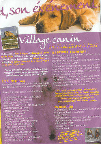 Affiche village canin Angers 2008