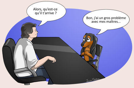 chien en consultation