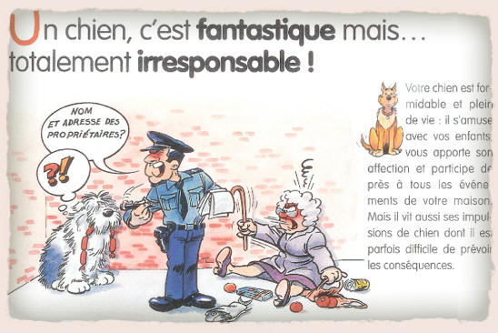 Un chien irresponsable