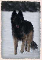 photo de Tervueren