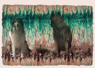 Un Colley et un Loup