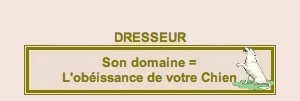 Dresseur