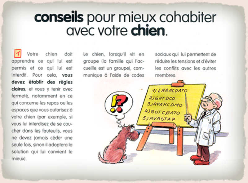 Conseils pour cohabiter avec votre chien