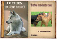 couverture livre le chien un loup civilisé