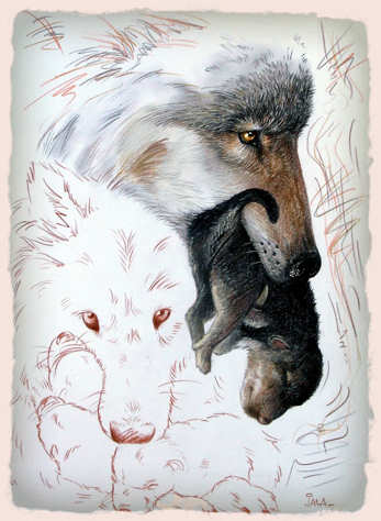 loups et louveteaux