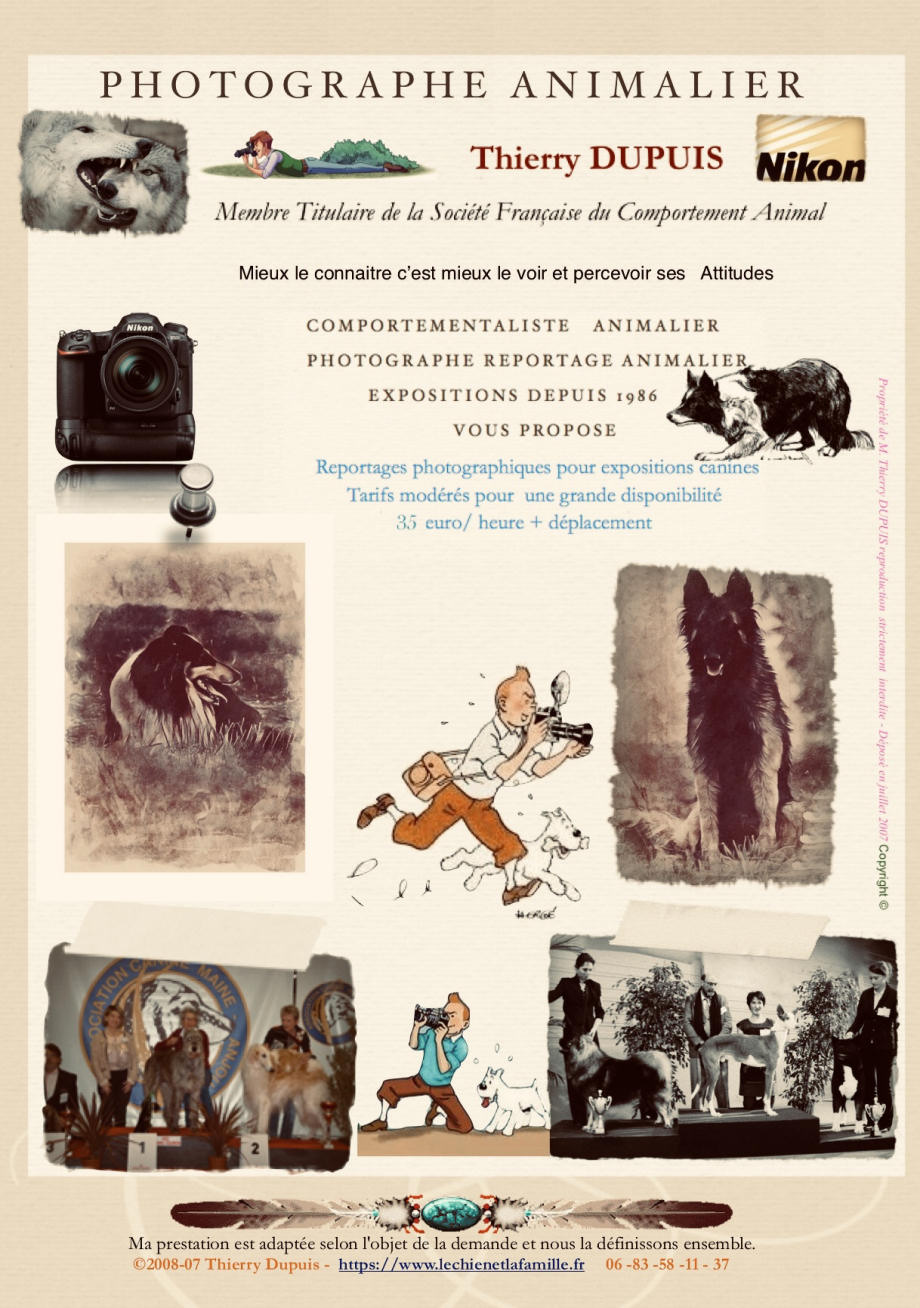 affiche photographe animalier 