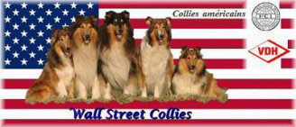 www.friesen-collies-nrw.de